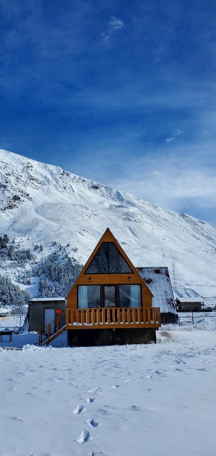 Willa Mountain Hut In Kazbegi Zewnętrze zdjęcie